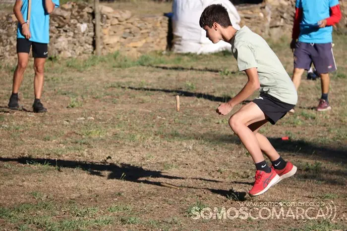 Billarda en Castiñeiro (San Xoán de Río) (18)