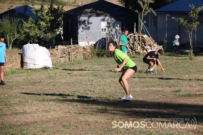 Billarda en Castiñeiro (San Xoán de Río) (19)