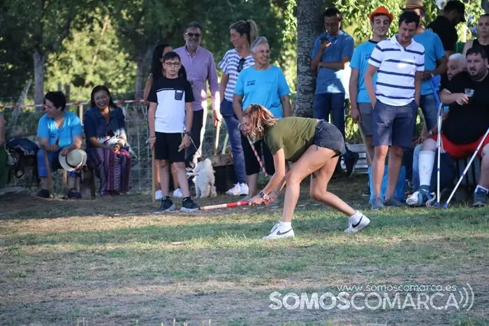 Billarda en Castiñeiro (San Xoán de Río) (28)