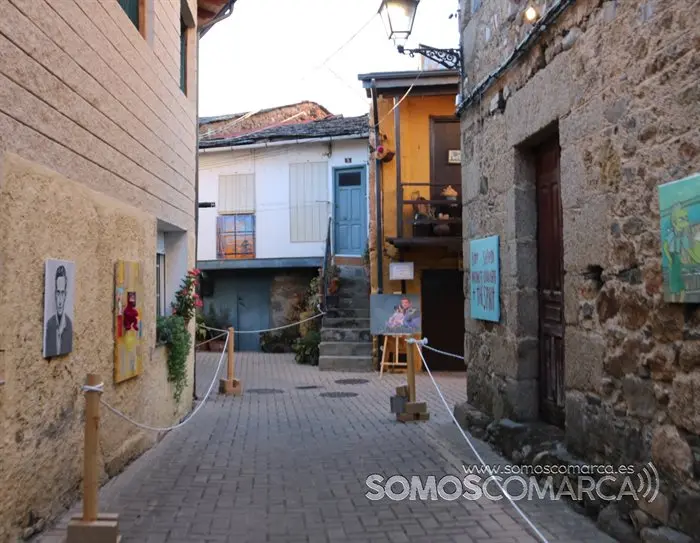 MARCO Petin. Pregón e ollada a exposición de arte (5)