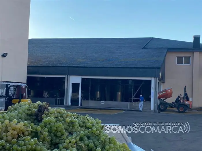 somoscomarca_obarco_vendimia_cooperativabarco_2022 (11)