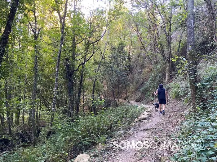 somoscomarca_arcos_sendaverde_riofarelos_carloslopez_2022 (6)