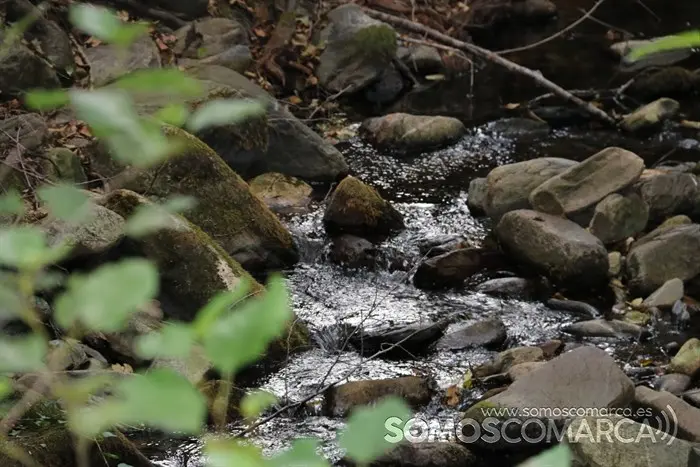 somoscomarca_arcos_sendaverde_riofarelos_pozadabruxa_2022 (7)