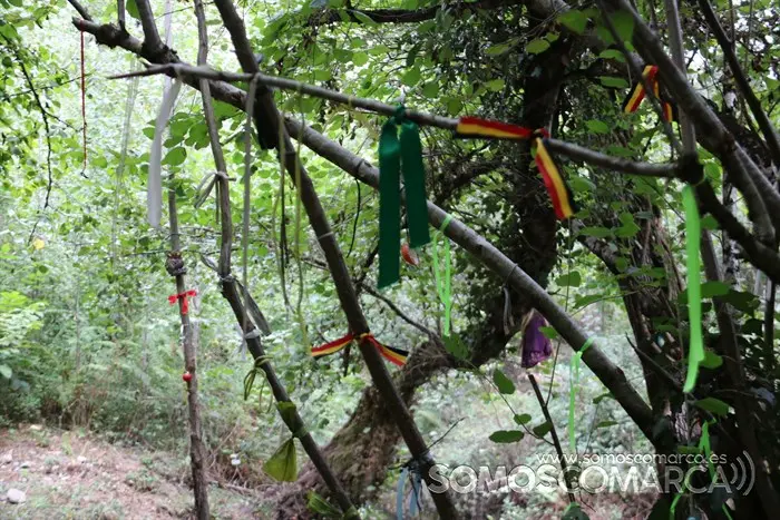 somoscomarca_arcos_sendaverde_riofarelos_pozadabruxa_2022 (12)