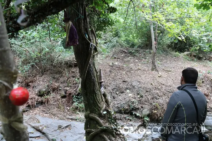 somoscomarca_arcos_sendaverde_riofarelos_pozadabruxa_2022 (14)