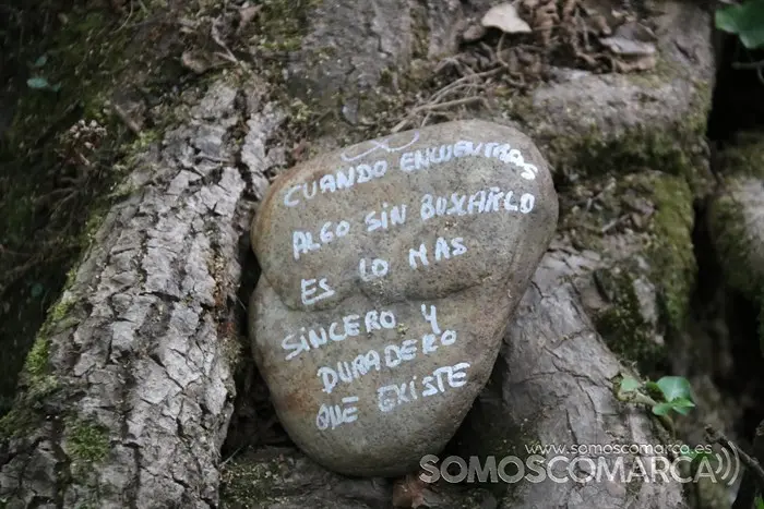 somoscomarca_arcos_sendaverde_riofarelos_pozadabruxa_2022 (13)