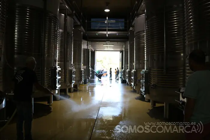 somoscomarca_entoma_roandi_vendimia_bodega_2022 (11)