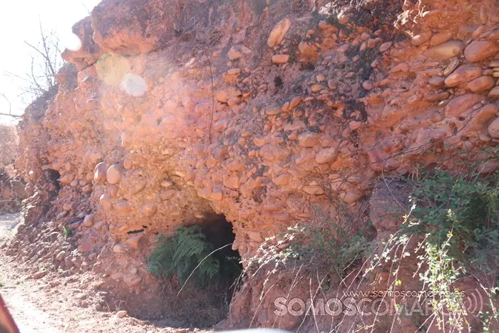 somoscomarca_entoma_roandi_vendimia_bodega_2022 (19)