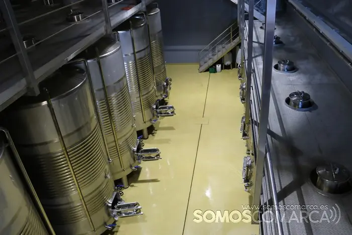 somoscomarca_entoma_roandi_vendimia_bodega_2022 (21)