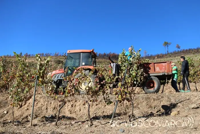 somoscomarca_entoma_roandi_vendimia_bodega_2022 (29)