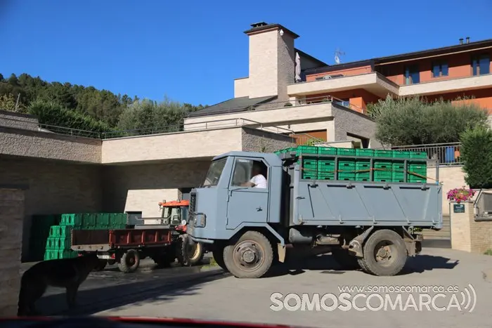 somoscomarca_entoma_roandi_vendimia_bodega_2022 (37)