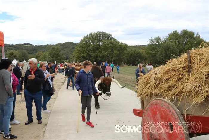 somoscomarca_aveiga_crianzatrevinca_feiradegando_2022 (15)