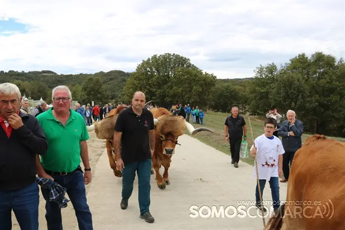 somoscomarca_aveiga_crianzatrevinca_feiradegando_2022 (17)