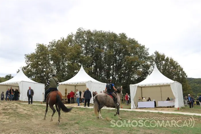 somoscomarca_aveiga_crianzatrevinca_feiradegando_stands2022 (14)