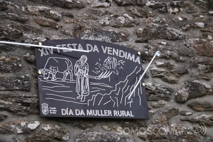 Festa da vendima en Punxeiros 2022 (8)