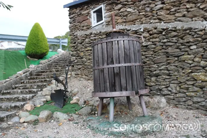 Festa da vendima en Punxeiros 2022 (63)