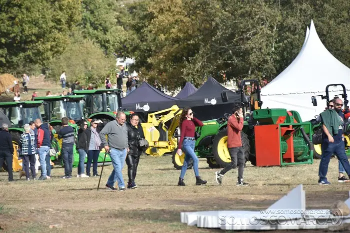 Crianza Trevinca, exposición ganadera y agrícola (66)