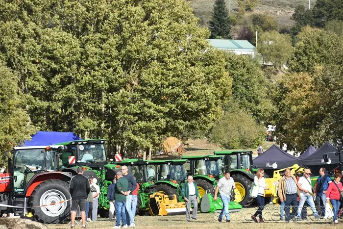 Crianza Trevinca, exposición ganadera y agrícola (67)