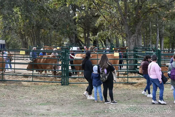 Crianza Trevinca, exposición ganadera y agrícola (59)