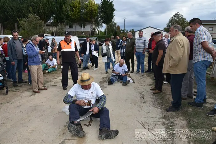 Crianza Trevinca, exposición ganadera y agrícola (47)