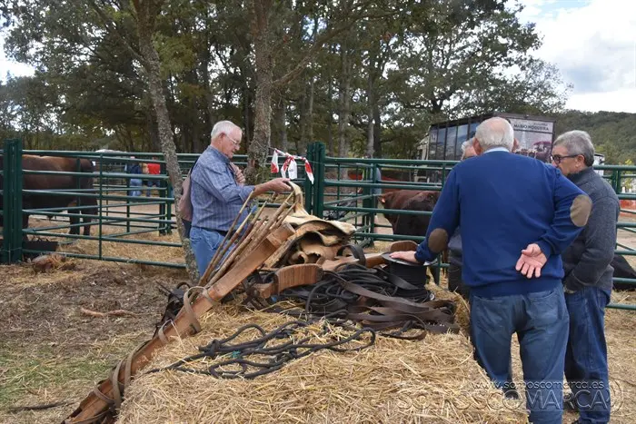Crianza Trevinca, exposición ganadera y agrícola (48)
