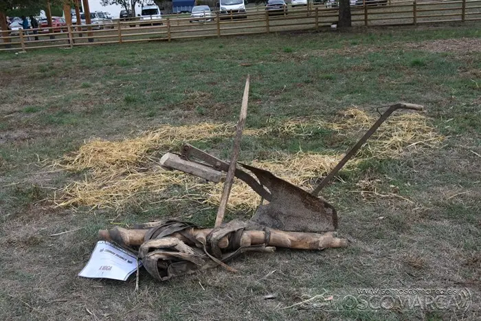 Crianza Trevinca, exposición ganadera y agrícola (43)