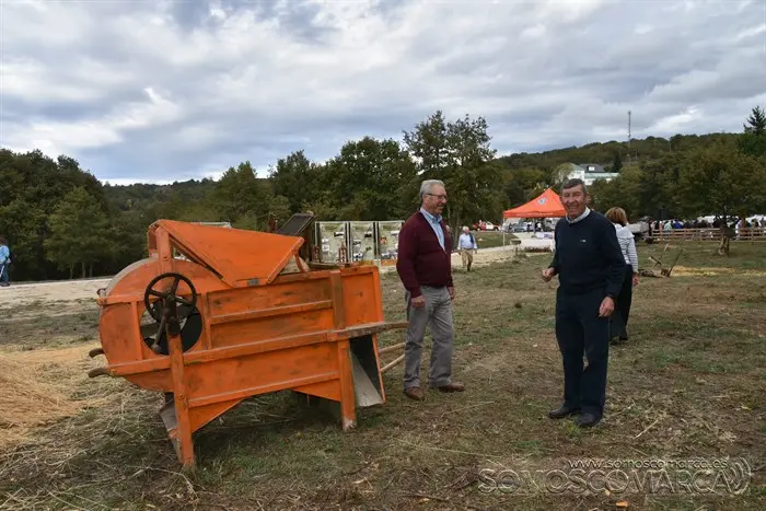 Crianza Trevinca, exposición ganadera y agrícola (42)