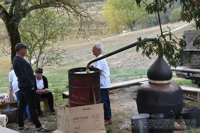 Crianza Trevinca, exposición ganadera y agrícola (34)