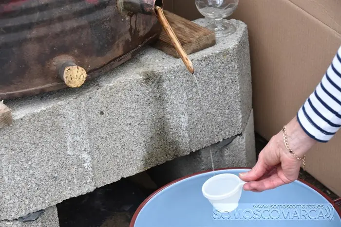 Crianza Trevinca, exposición ganadera y agrícola (35)