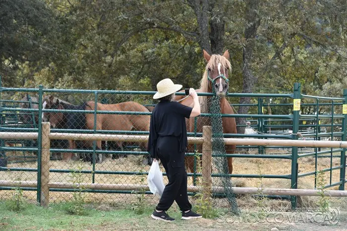 Crianza Trevinca, exposición ganadera y agrícola (29)