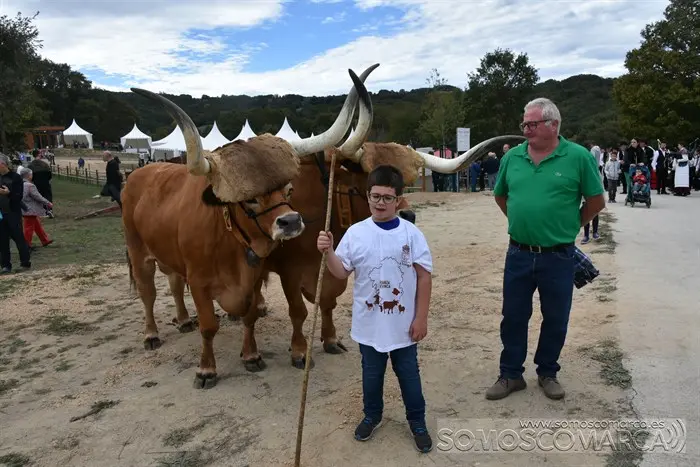 Crianza Trevinca, exposición ganadera y agrícola (13)