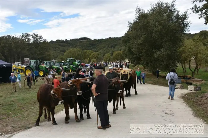 Crianza Trevinca, exposición ganadera y agrícola (10)
