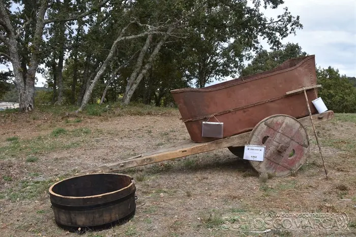 Crianza Trevinca, exposición ganadera y agrícola (6)
