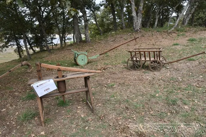 Crianza Trevinca, exposición ganadera y agrícola (7)