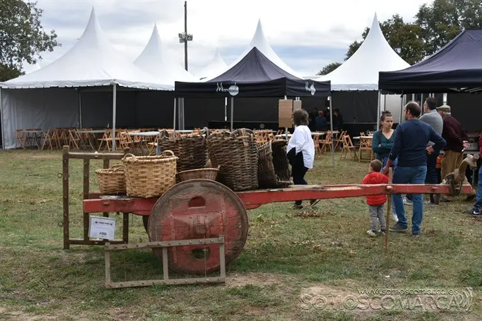 Crianza Trevinca, exposición ganadera y agrícola (8)