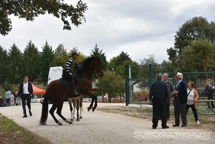 Crianza Trevinca, exposición ganadera y agrícola (3)
