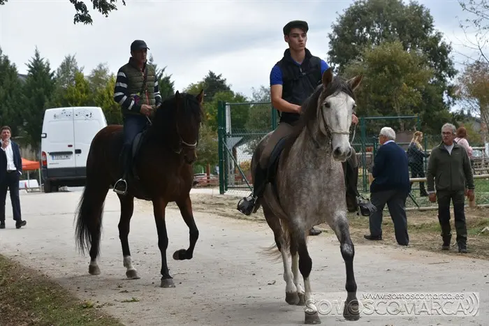 Crianza Trevinca, exposición ganadera y agrícola (4)