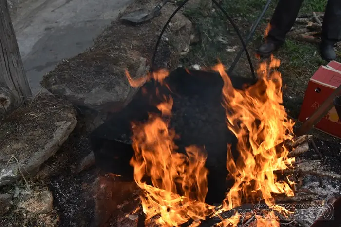 festadavendima_punxeiro_viana (31)