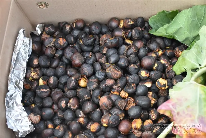 festadavendima_punxeiro_viana (32)