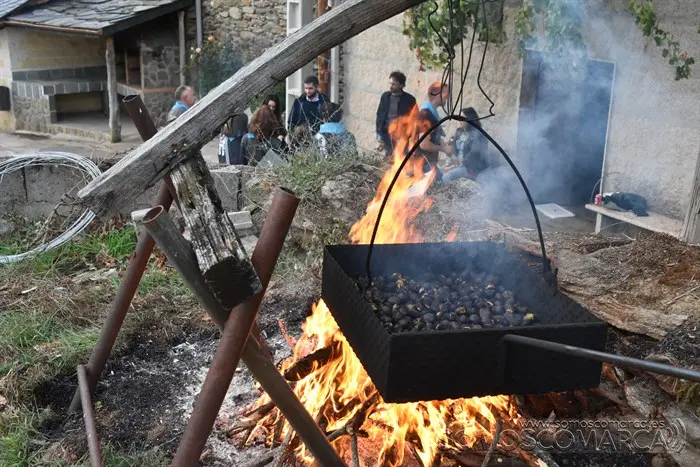 festadavendima_punxeiro_viana (33)