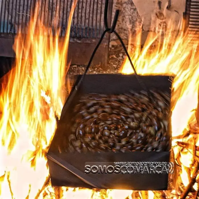 somoscomarca_magosto_vianadobolo (4)