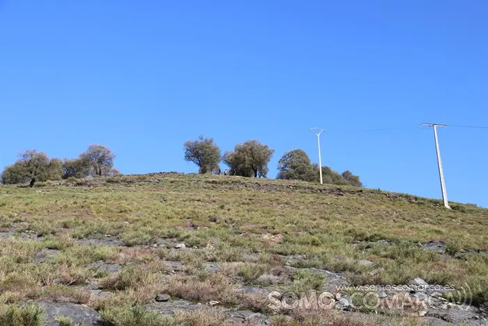 Búsqueda de Marino, hombre de 80 años desaparecido en San Xulián (A Rúa) (10)