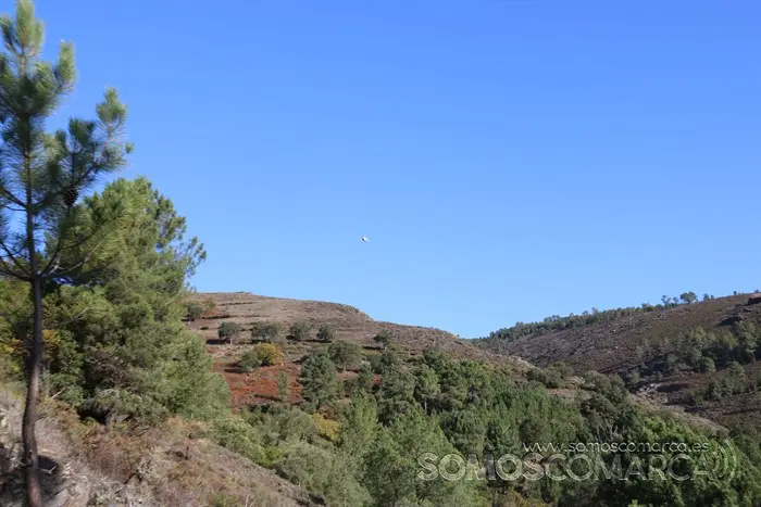 Búsqueda de Marino, hombre de 80 años desaparecido en San Xulián (A Rúa) (12)