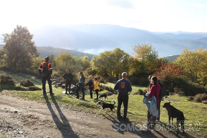 Búsqueda de Marino, hombre de 80 años desaparecido en San Xulián (A Rúa) (14)