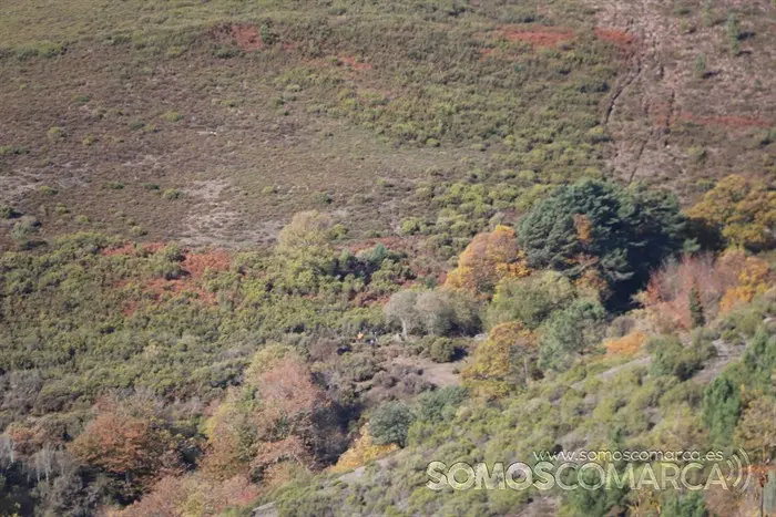 Búsqueda de Marino, hombre de 80 años desaparecido en San Xulián (A Rúa) (19)