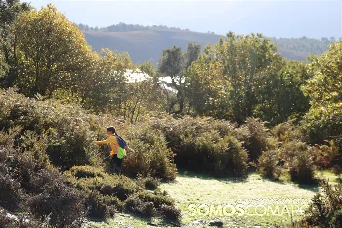 Búsqueda de Marino, hombre de 80 años desaparecido en San Xulián (A Rúa) (28)