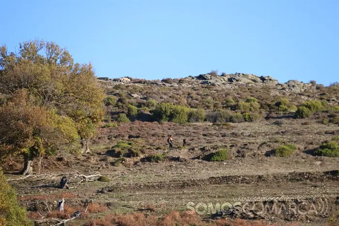 Búsqueda de Marino, hombre de 80 años desaparecido en San Xulián (A Rúa) (26)