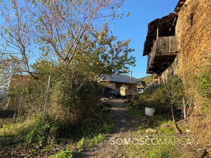 Búsqueda de Marino, hombre de 80 años desaparecido en San Xulián (A Rúa) 33 (7)