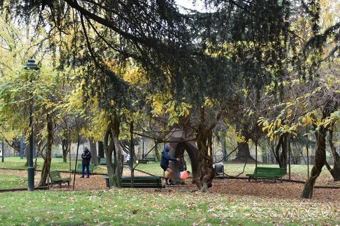 campeonato gallego relevos orientacion (38)