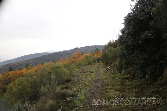 somoscomarca_vilamartin_carreradelasciudades_andaimnapopular_2022 (23)